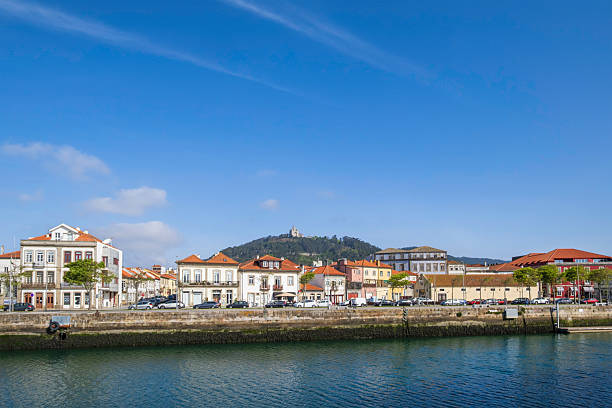 viana4.jpg